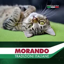 Сухий корм для стерилізованих котів Morando Tradizioni Sterilized з лососем 400 г - мініатюра 5