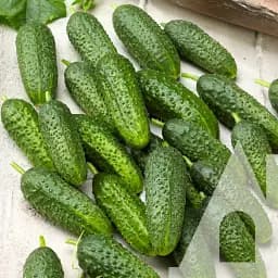 Огурец Садиба Абсолют F1, 10 шт.