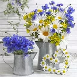 Алмазна мозаїка 30*30 на підрамнику повна викладка Польові квіти