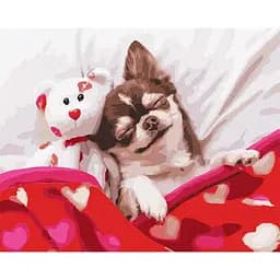 Картина по номерам Ideyka Спящая красавица 40х50 см KHO4277