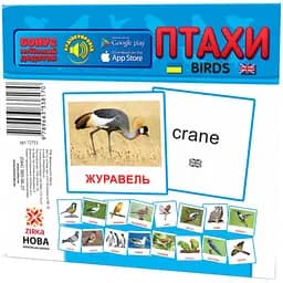 Картки міні Зірка Птахи 11х11 см (286288)