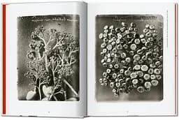 Karl Blossfeldt. The Complete Published Work. 40th Edition - мініатюра 3