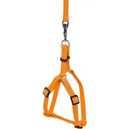 Шлея Dog Extreme з нейлону регульована з повідцем для котів, кроликів і морських свинок (ширина 10мм, довжина 115см, В:28-40см) - мініатюра 2