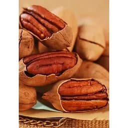 Саджанець Agro-Market Горіх Пекан Mohawk (один з найбільших сортів американської селекції) 1 шт. в упаковці (61733)