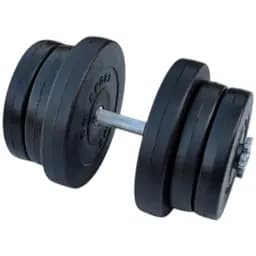 Гантель RN Sport композитна з хромованим грифом 21.5 кг