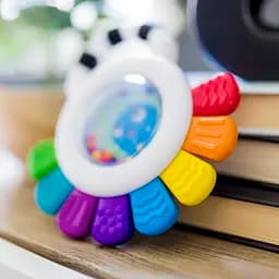 Іграшка-брязкальце Baby Einstein Outstanding Opus (12487) - мініатюра 4