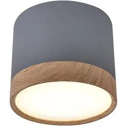 Точковий світильник Candellux 2275925 TUBA