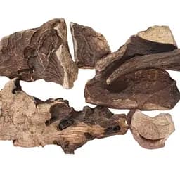 100 г пион уклоняющийся корень сушеный - свежий урожай