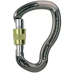 Карабін DMM Sentinel SG (1012-A262)