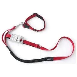 Ошейник с поводком для собак AnimAll L красный