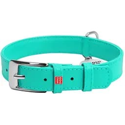 Нашийник для собак Waudog Glamour, шкіряний, з QR паспортом, 30-39х2 см, ментоловий