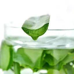 Ковдра Ideia Botanical Алое Вера літня, 220х200 см (8-13012) - мініатюра 9