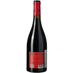 Вино Rino Cabernet Sauvignon AOP Madiran червоне сухе 0.75 л - мініатюра 3