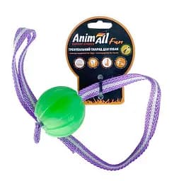 Игрушка AnimAll Fun для собак тренинг мяч со шлейкой 6 см зеленая