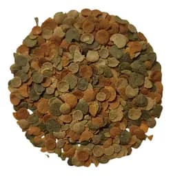 Корм для акваріумних рибок Tetra Min Crisps 100 г