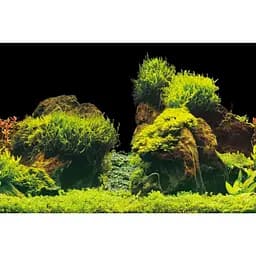 Акваріумний задній фон Aqua Nova Скали/Рослини 150x60 см (ROCK/PLANTS XL) - мініатюра 3