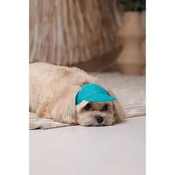 Кепка Pet Fashion Topaz для собак М - мініатюра 3