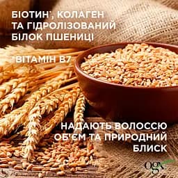 Шампунь OGX Biotin & Collagen для позбавленого об'єму та тонкого волосся, з колагеном 385 мл - мініатюра 5