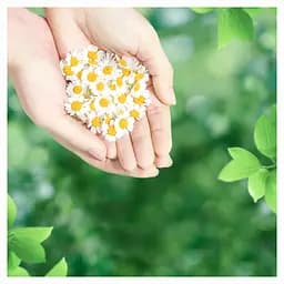 Гігієнічні прокладки Naturella Ultra Normal Plus, 18 шт. - мініатюра 5