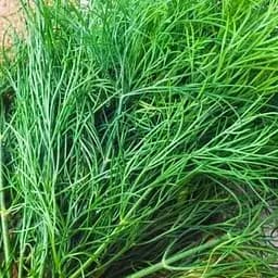 Кріп Весна Кущовий (у банці) 100г (52424)