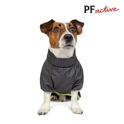 Комбінезон Pet Fashion RAIN для собак породи такса сірий M - мініатюра 3