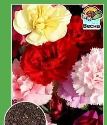 Семена Весна Гвоздика Шабо 0.3 г (15871)