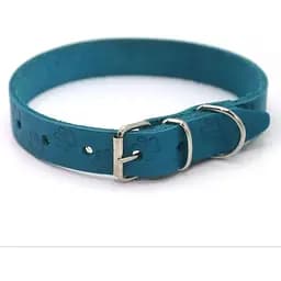 Нашийник для собак Zoo-hunt ОТ Лапка шкіряний тиснений бірюзовий ВІД Лапка 1,4/23-28 см