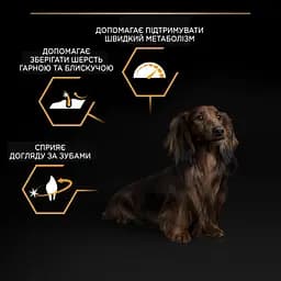 Сухий корм Purina Pro Plan Adult Small & Mini для дорослих собак дрібних порід з куркою 3 кг (12272216) - мініатюра 8