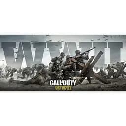Гра Call of Duty WWII (англійська версія) (PS4) - мініатюра 2