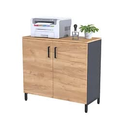 Тумба офісна LT-900-830 Loft Design (Дуб Крафт золотий)
