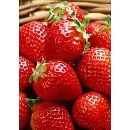 Саджанець Agro-Market Полуниця Спокуса 5шт (ремонтантний сорт один з кращих, ранній термін дозрівання) (44703)