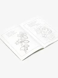 Книга розмальовок Вірші та загадки 12B-010 Різнокольоровий shop (4820168950094) - мініатюра 2