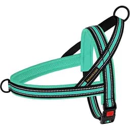 Шлея для собак BronzeDog Mesh Скандинавская, размер М, 36х44-60 см, ментоловая