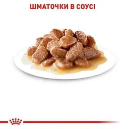 Набір вологого корму для дорослих котів, що сприяє підтримці здоров'я сечовидільної системи Royal Canin Urinary Care шматочки в соусі 1.02 кг (12 шт. х 85 г) - мініатюра 3