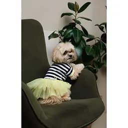Сукня Pet Fashion Liana для собак XS - мініатюра 4