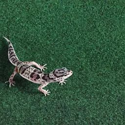 Килимок-субстрат Repti-Zoo Carpet Mat 20x30 см (EC05) для тераріуму, пустельних і тропічних рептилій - мініатюра 9