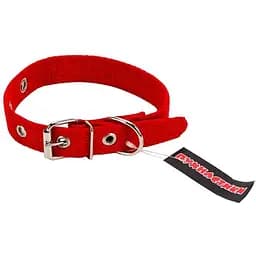 Нашийник брезентовий Пухнастики червоний 20 мм/38 см