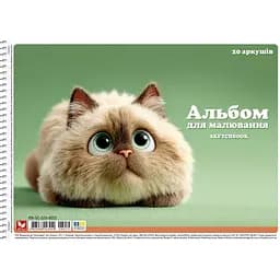 Альбом для рисования Школярик спираль 20 л. 120 г/м2 УФ-лак в ассортименте (PB-SC-020-8052)