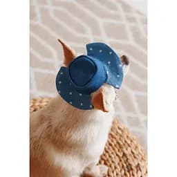 Панама Pet Fashion Stars для собак М - мініатюра 7