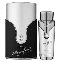 Оригинал Armaf Magnificent Pour Homme 100 мл парфюмированная вода
