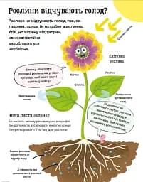 Хочу все знати про рослини - мініатюра 4
