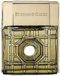 Парфумована вода Stefano Ricci Stambul 100 мл