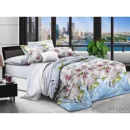 Комплект постільної білизни TAG Tekstil 2-спальний 000247794 (BR-12491)