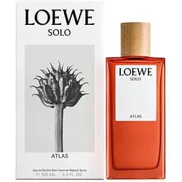 Парфюмированая вода Loewe Solo Atlas 100 мл