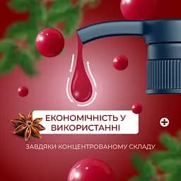 Рідке мило для рук Fun&Go Mulled wine 300 мл - мініатюра 2
