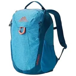 Рюкзак Gregory Youth Hiking Wander 8 Blue (1053-149332 1652)