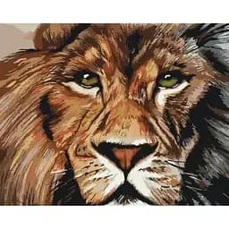 Картина по номерам "Хищный взгляд" КНО4024