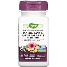 Натуральна добавка Nature's Way Echinacea Astragalus and Reishi, 100 вегакапсул