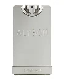 Оригинал Alyson Oldoini Rhum d Hiver 100 мл ТЕСТЕР парфюмированная вода