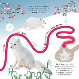 Follow the Trail. Winter Wonderland. Take a Peek! Fun Finger Trails! - мініатюра 6